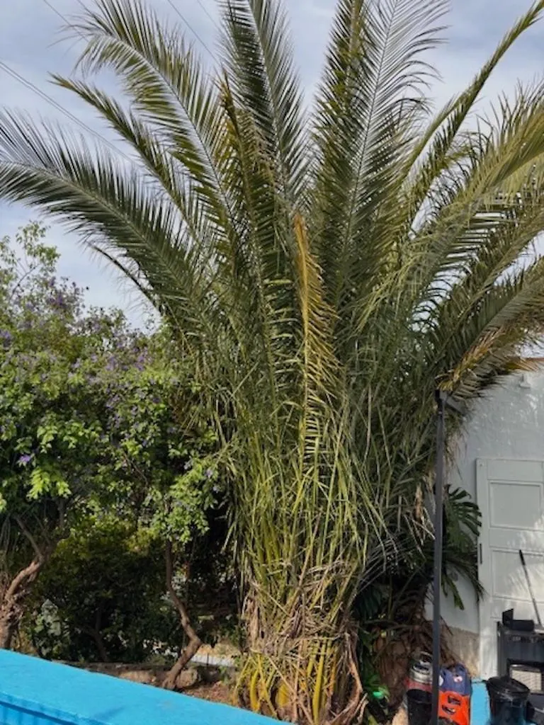 Finca Paraiso Escondido Alhaurin El Grande Villa Сasa de vacaciones
