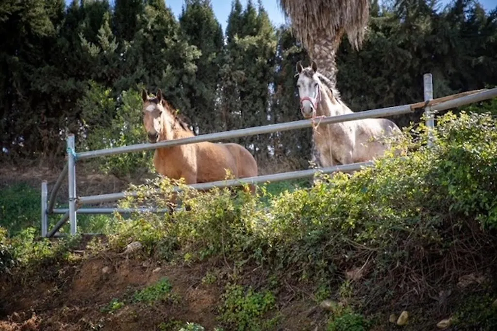 Finca Paraiso Escondido Alhaurin El Grande Villa Сasa de vacaciones