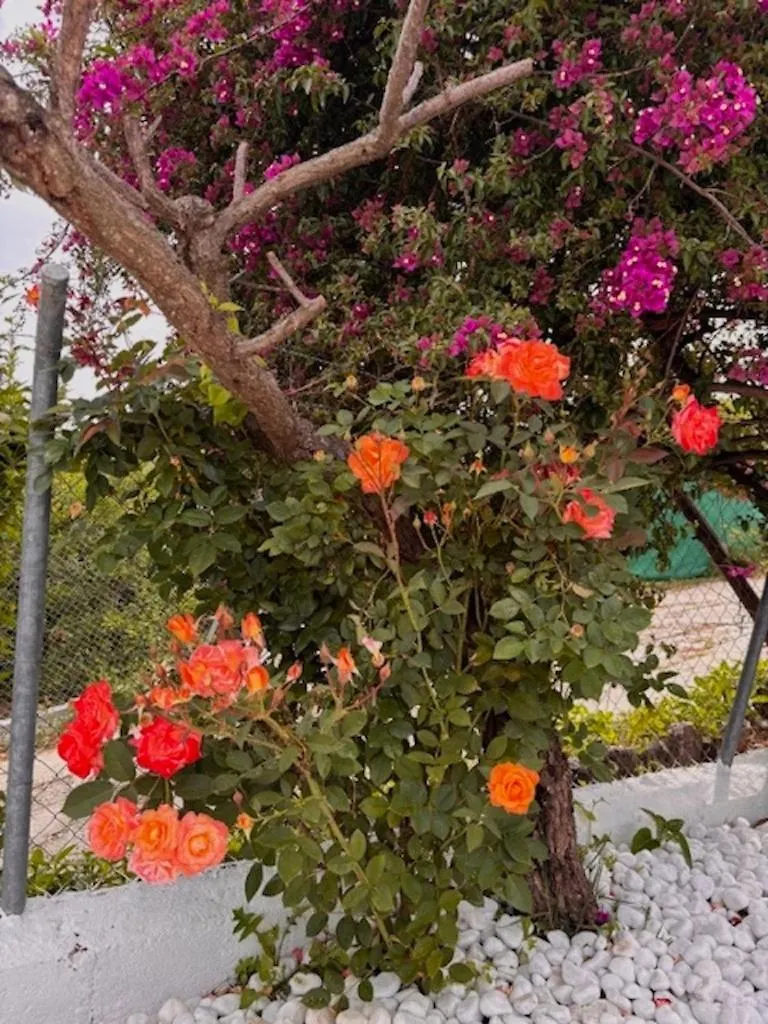Сasa de vacaciones Finca Paraiso Escondido Alhaurin El Grande Villa España