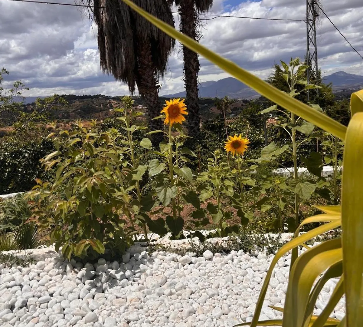 Finca Paraiso Escondido Alhaurin El Grande Vila Casa de Férias